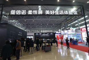 创新驱动产业变革 维信诺与北京信诺软通亮相首届世界显示产业大会